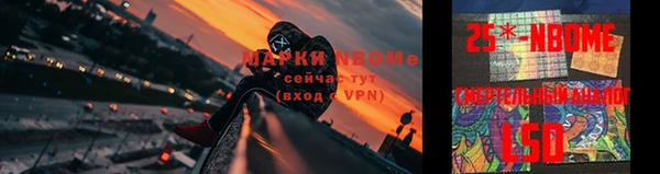 дурь Нефтекумск