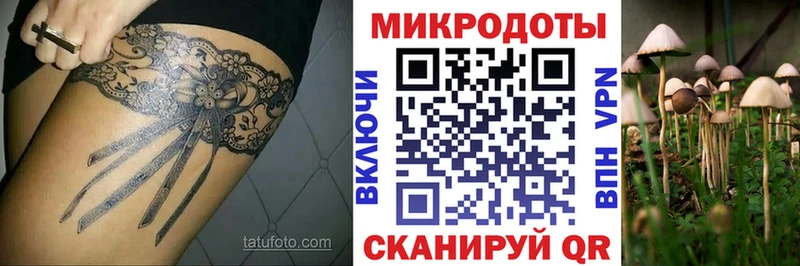 Псилоцибиновые грибы Psilocybine cubensis  Пустошка 